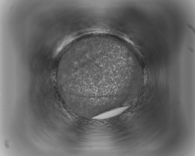 X0000098151255200805151156
