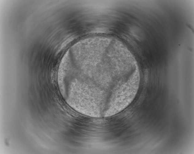 X0000098151258200805151156