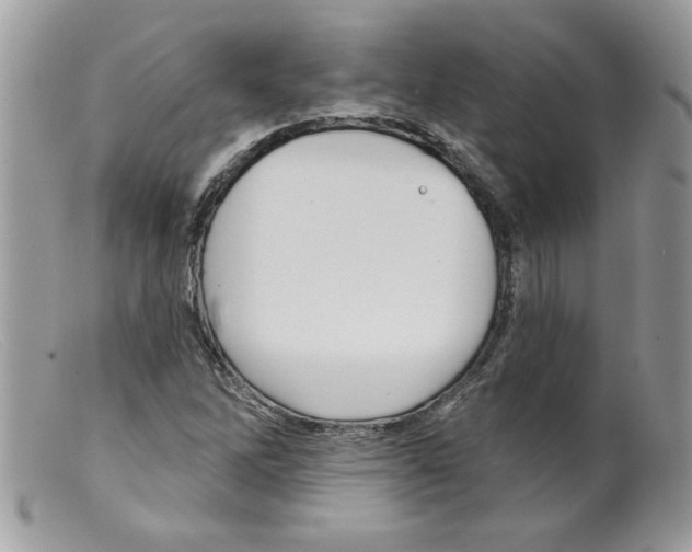 X0000098151262200805151156