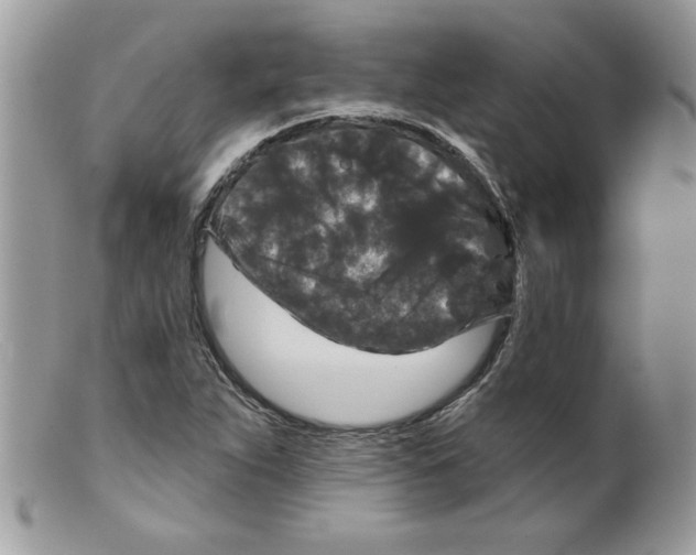 X0000098151263200805151156