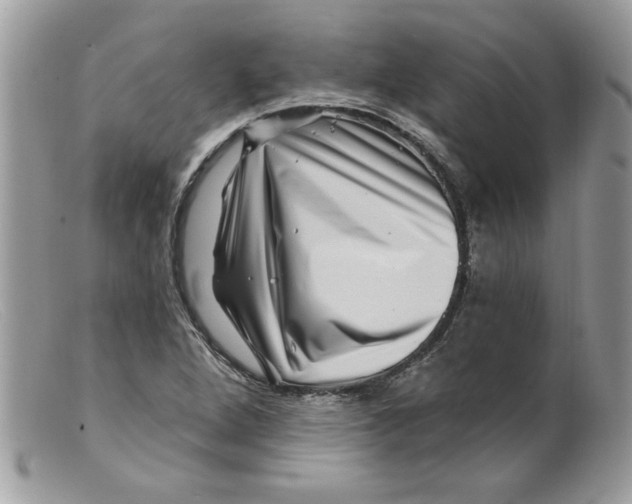 X0000098151264200805151156