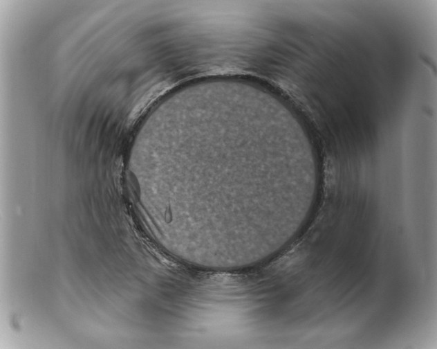 X0000098151265200805151156