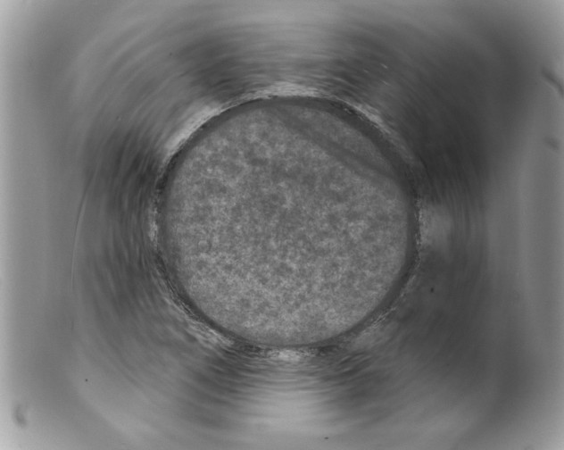 X0000098151266200805151156
