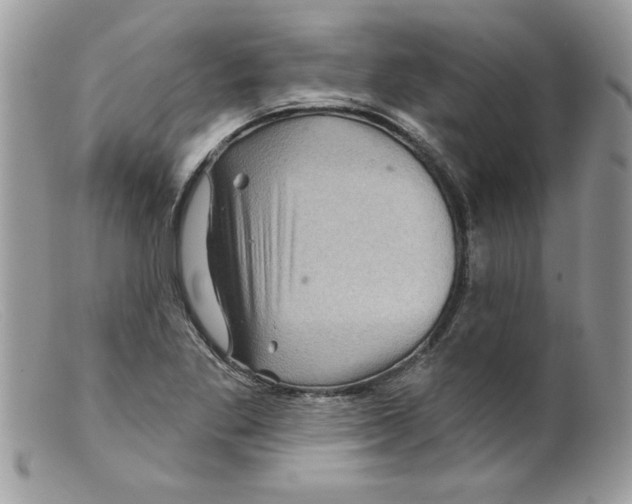 X0000098151269200805151156