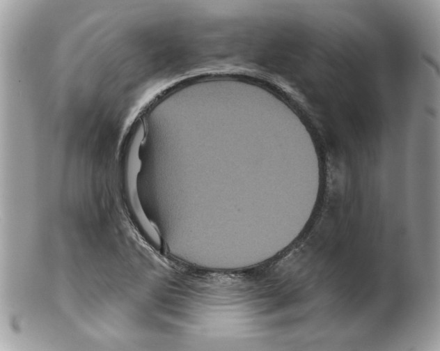 X0000098151270200805151156