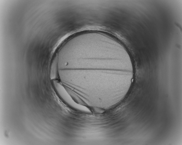 X0000098151272200805151156
