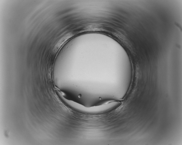 X0000098151273200805151156