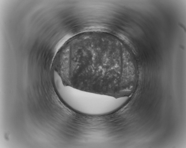 X0000098151275200805151156