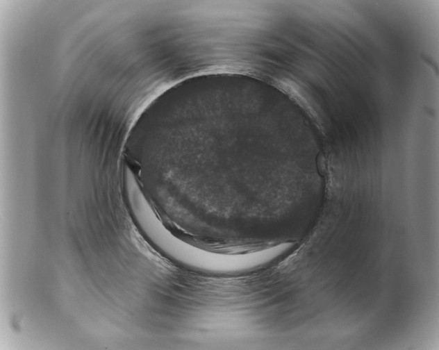 X0000098151276200805151156
