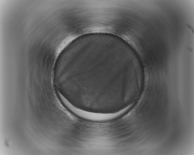 X0000098151277200805151156