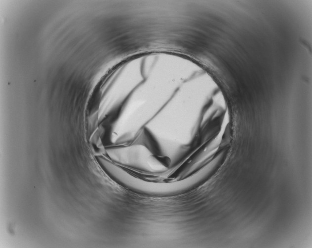 X0000098151280200805151156