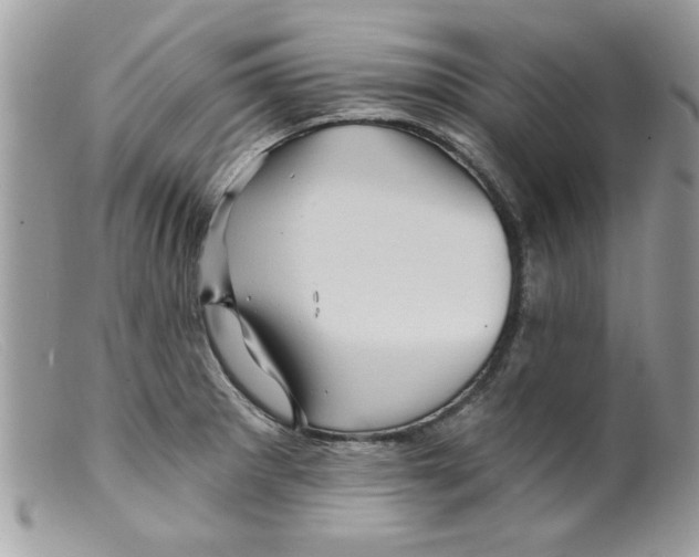 X0000098151281200805151156