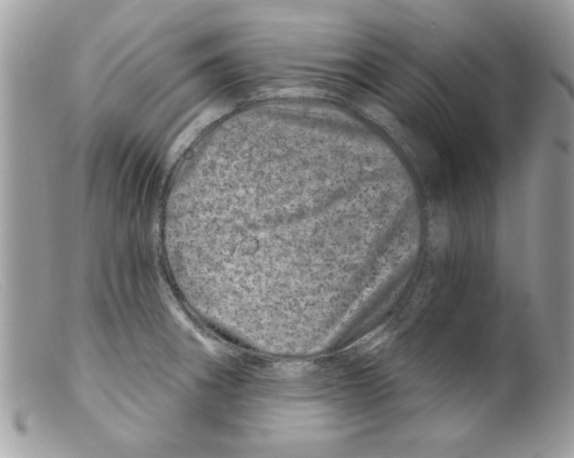 X0000098151282200805151156