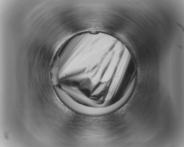 X0000098151284200805151156
