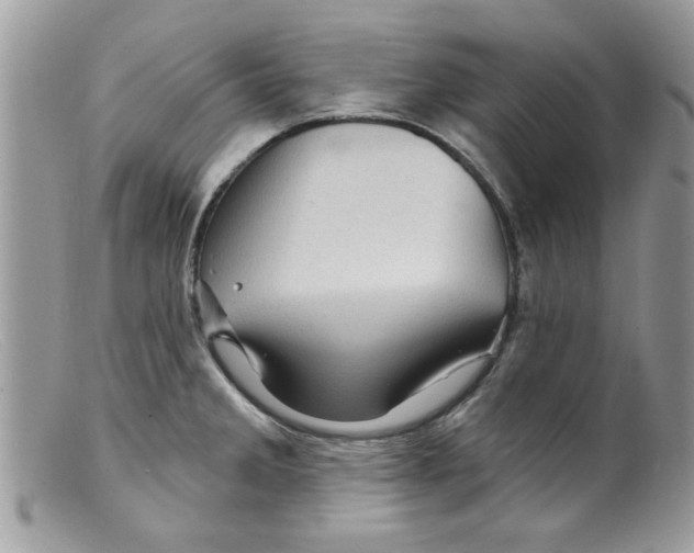 X0000098151285200805151156
