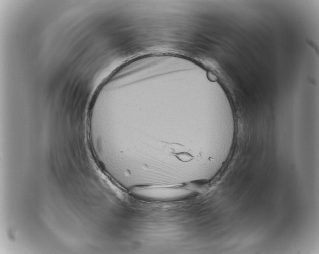 X0000098151286200805151156