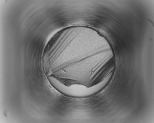 X0000098151288200805151156