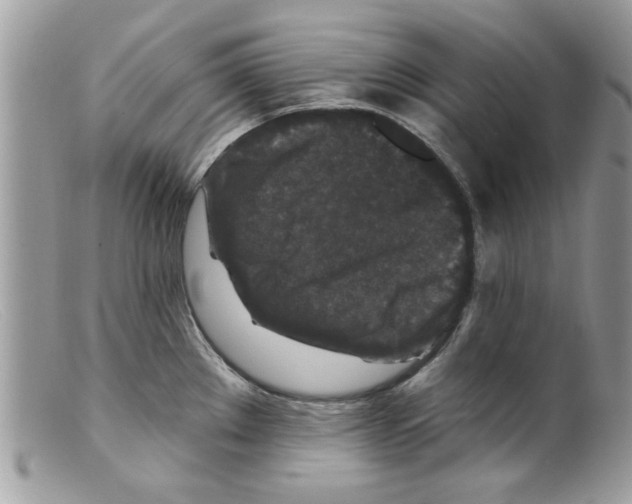 X0000098151289200805151156