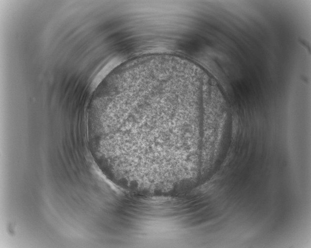 X0000098151290200805151156