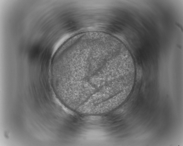 X0000098151294200805151156