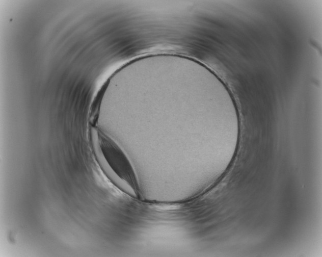 X0000098151296200805151156