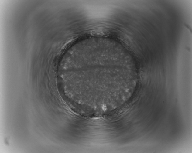 X0000098151297200805151155