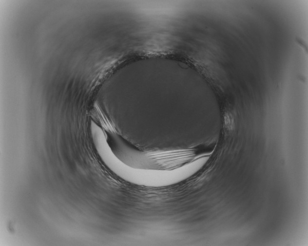 X0000098151300200805151155