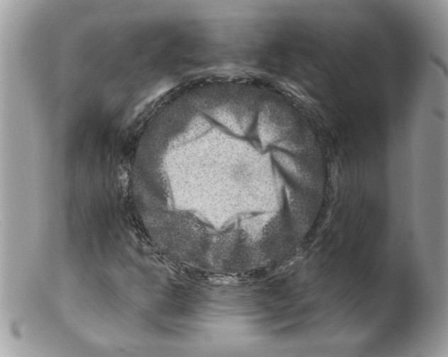 X0000098151302200805151155