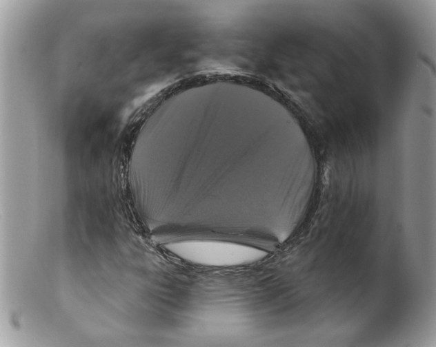 X0000098151303200805151155