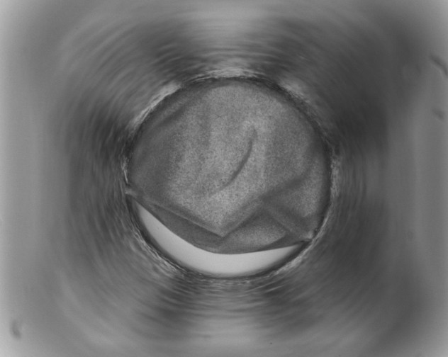 X0000098151305200805151155