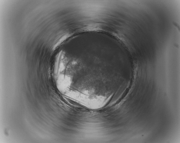 X0000098151306200805151155