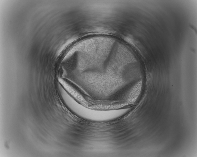 X0000098151307200805151155
