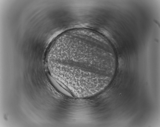 X0000098151308200805151155
