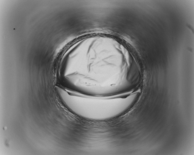 X0000098151310200805151155