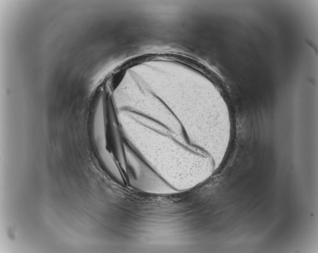X0000098151311200805151155