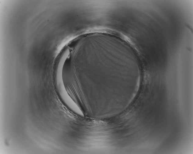X0000098151312200805151155
