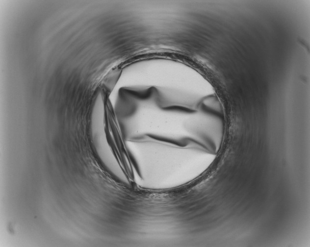 X0000098151313200805151155