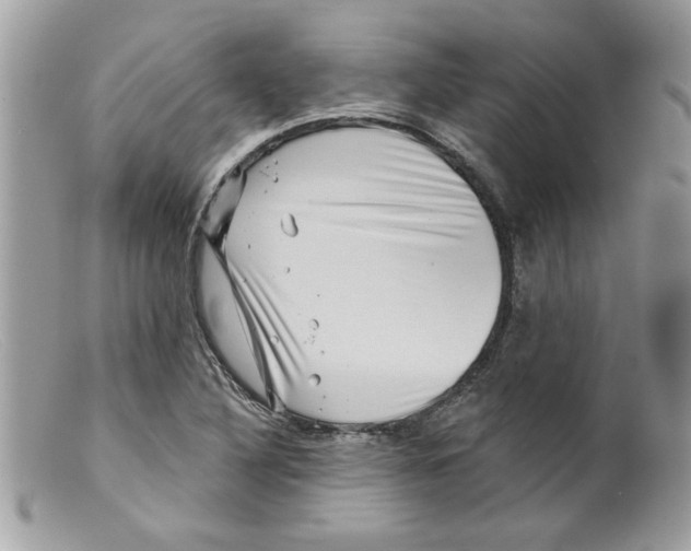 X0000098151316200805151155