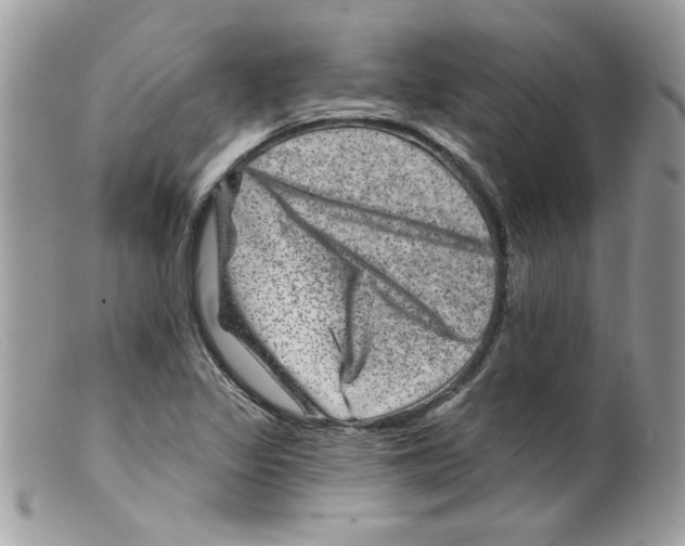 X0000098151317200805151155