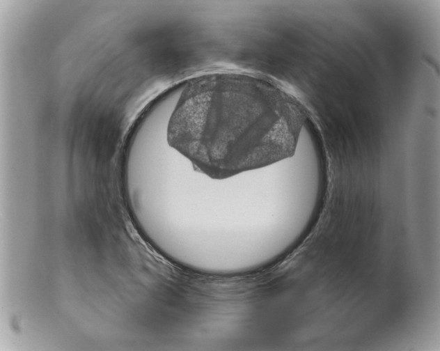 X0000098151318200805151155
