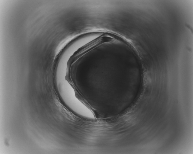 X0000098151319200805151155