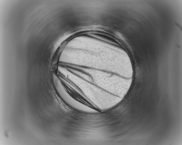 X0000098151320200805151155