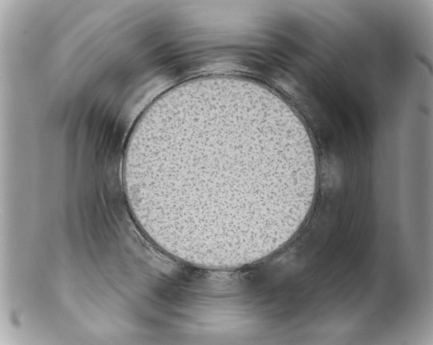 X0000098151322200805151155