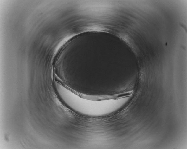 X0000098151323200805151155