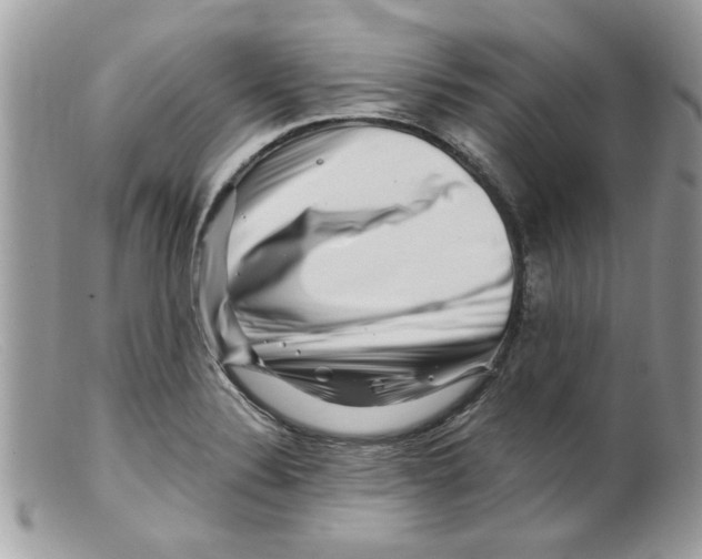 X0000098151324200805151155