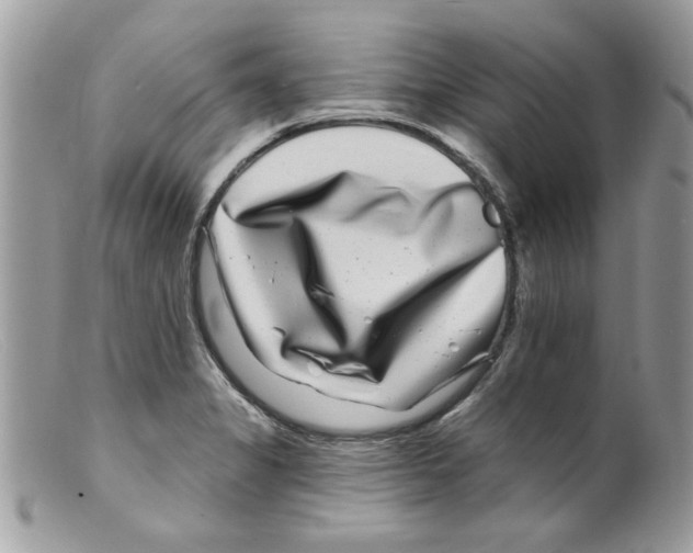 X0000098151325200805151155