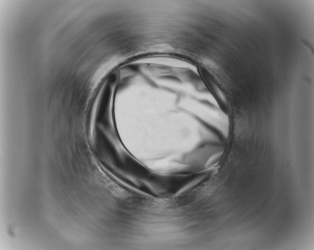 X0000098151326200805151155