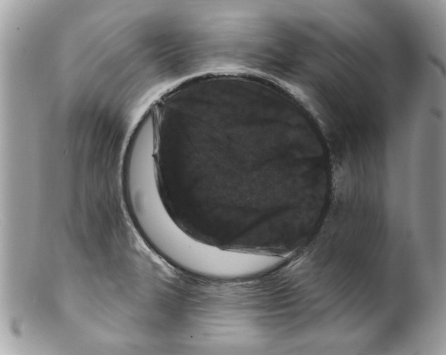 X0000098151327200805151155