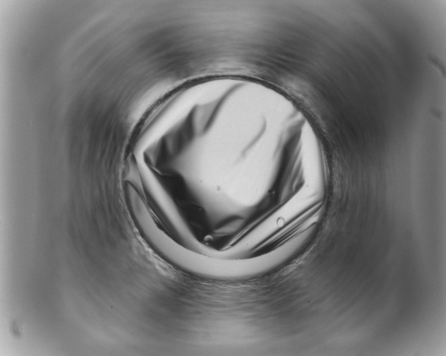 X0000098151328200805151155