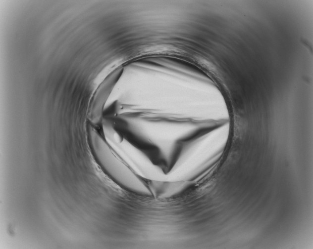 X0000098151330200805151155